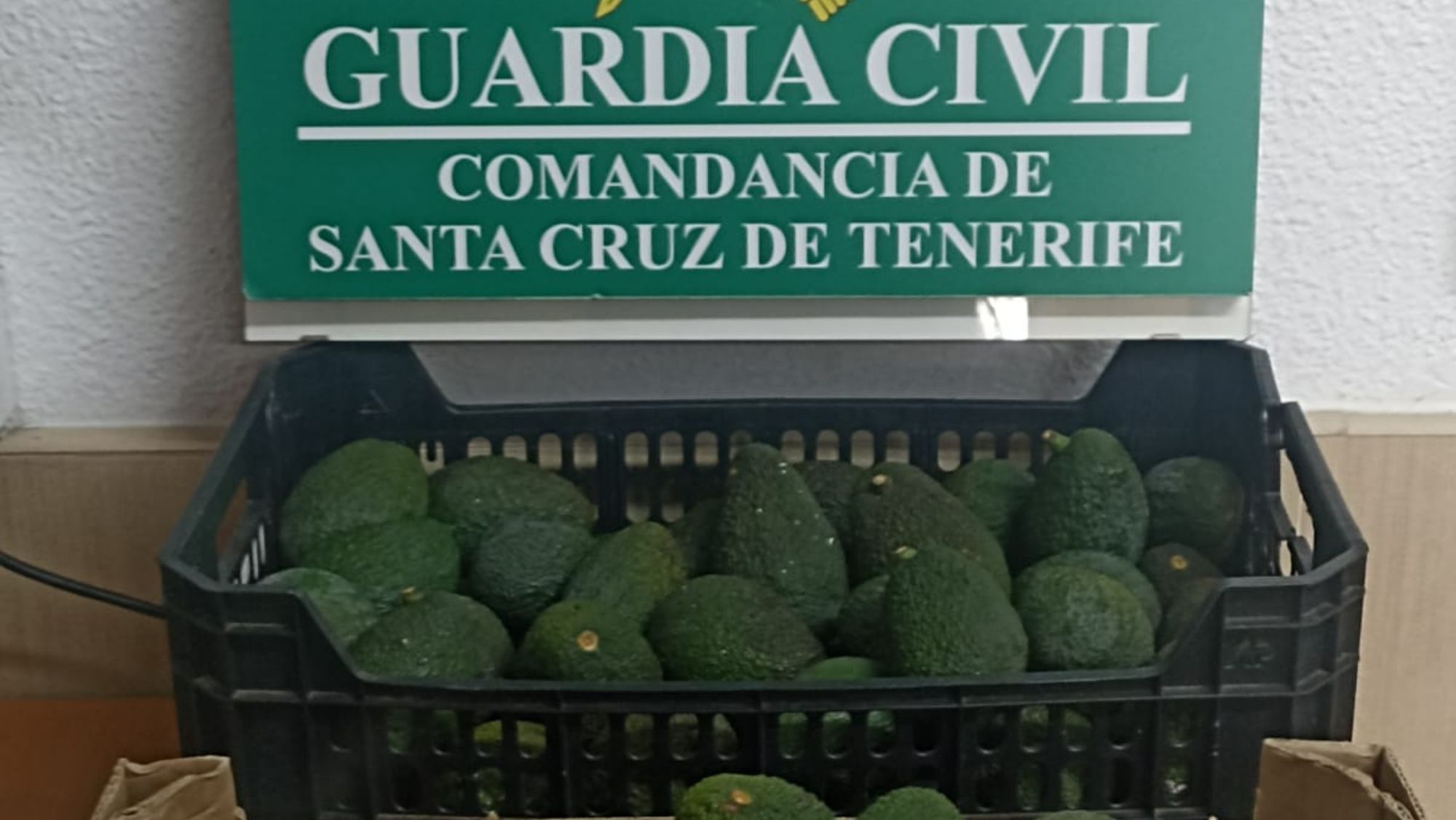 Aguacates requisados por la Guardia Civil. / ARCHIVO