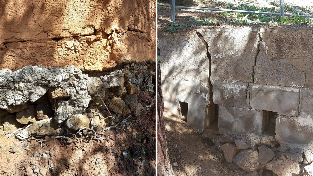Muro agrietado y con raíces en el patio del CEIP Granadilla de Abona./ Cedida