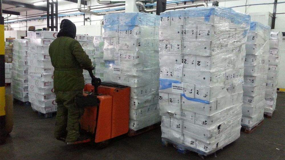 Un operario carga palés en la cámara frigorífica de Cofricansa, en Gran Canaria./ Cofricansa Un operario carga palés en la cámara frigorífica de Cofricansa, en Gran Canaria./ Cofricansa