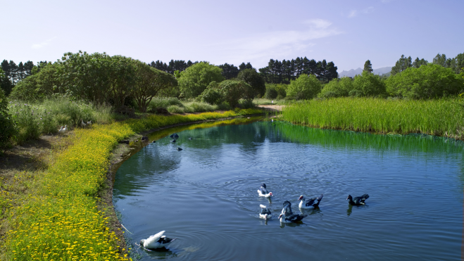 La Laguna de Valleseco. / Turismo de Gran Canaria
