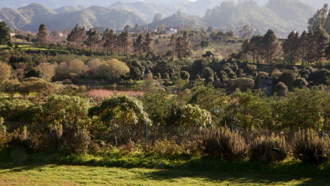 Paisaje de Valleseco. / Turismo de Gran Canaria
