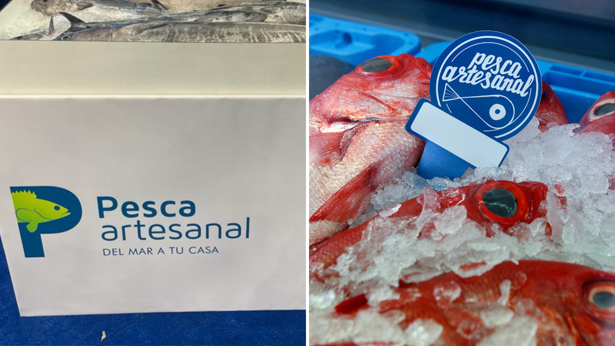 Logos de la marca Pesca Artesanal. / Coalición Canaria