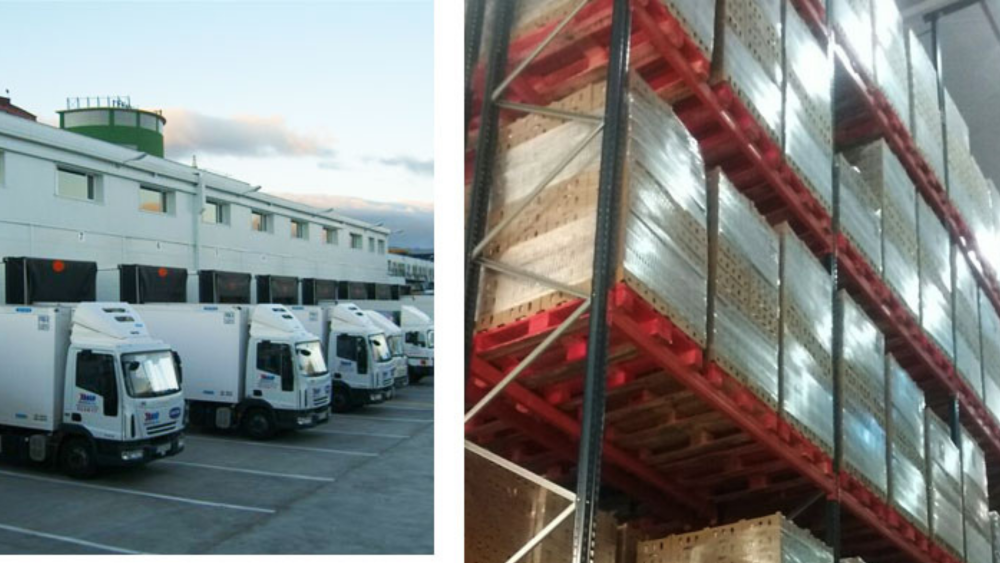 Almacenes de Salvesen Logística en Tenerife./ Salvesen Logística Almacenes de Salvesen Logística en Tenerife./ Salvesen Logística