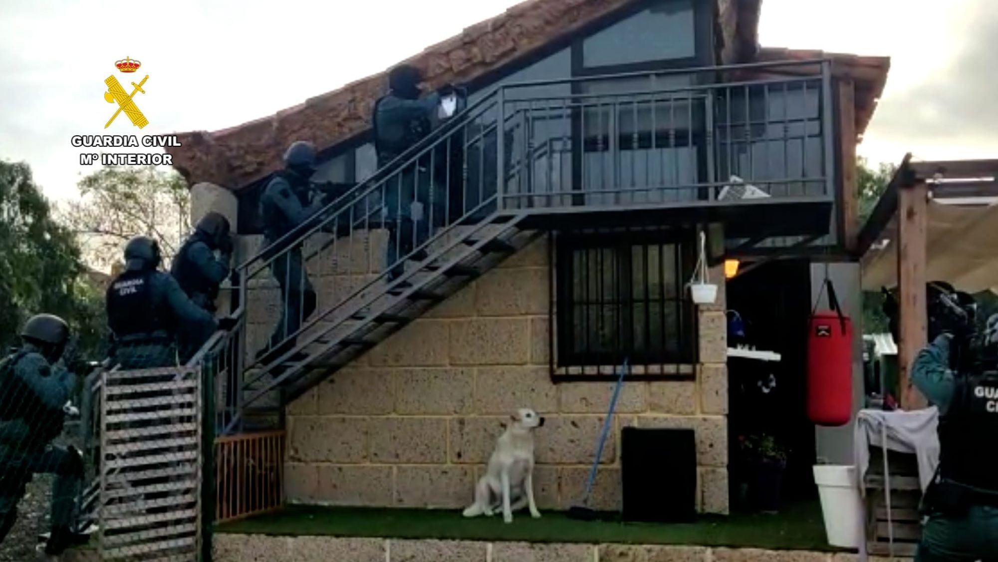 Operación de la Guardia Civil contra una de las asociaciones de cannabis. / Cedida