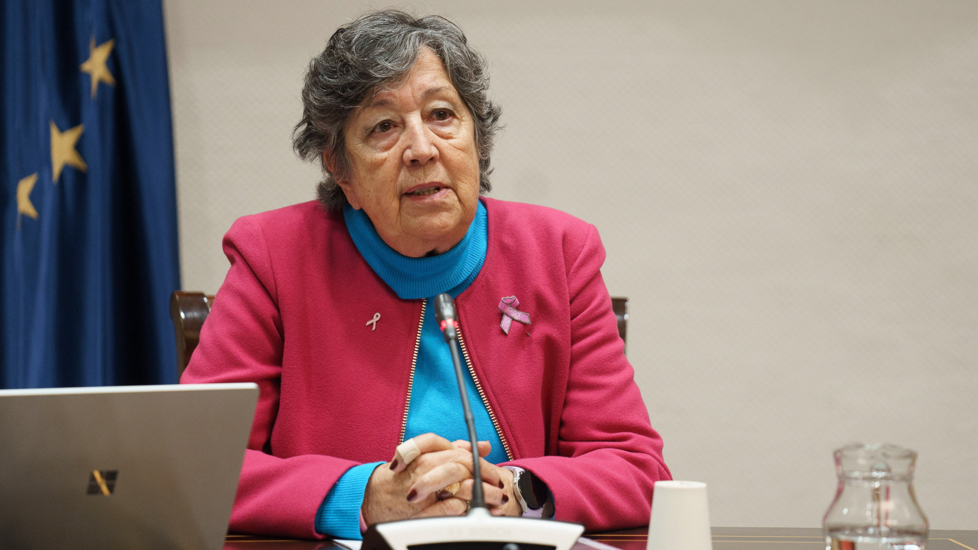 La presidenta de Ámate, Mari Carmen Bonfante. /Efe