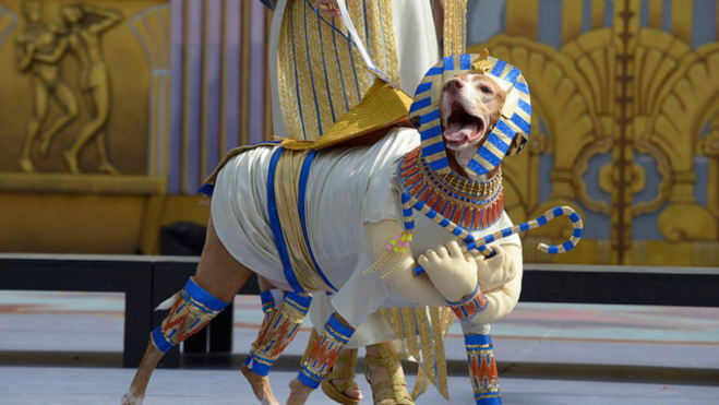 El Carnaval Canino vuelve un año más a Las Palmas de Gran Canaria./ Ayuntamiento de Las Palmas de Gran Canaria El Carnaval Canino vuelve un año más a Las Palmas de Gran Canaria./ Ayuntamiento de Las Palmas de Gran Canaria