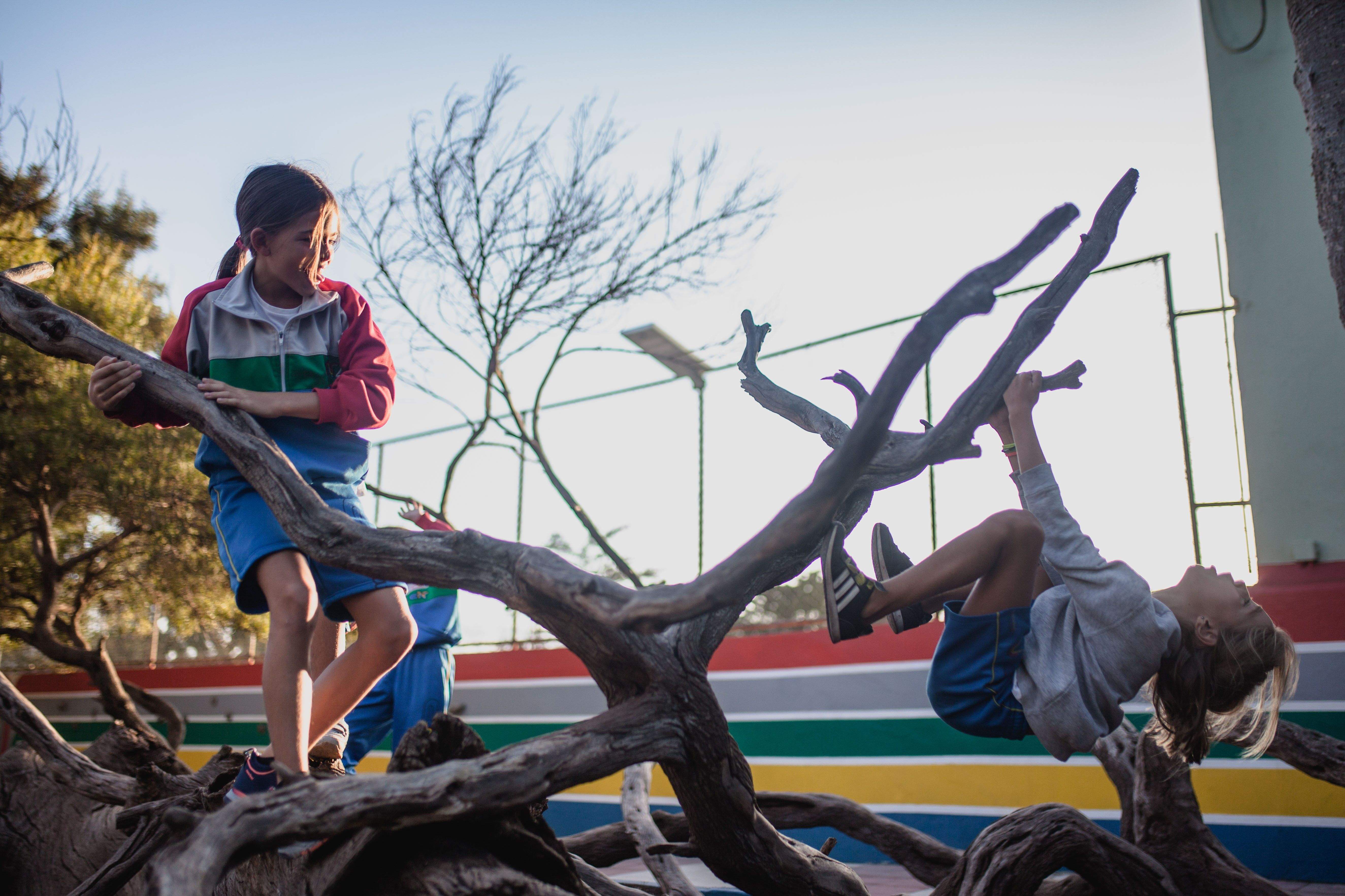 Alumnos del colegio Nuryana de Tenerife./ Alumnos del colegio Nuryana de Tenerife./