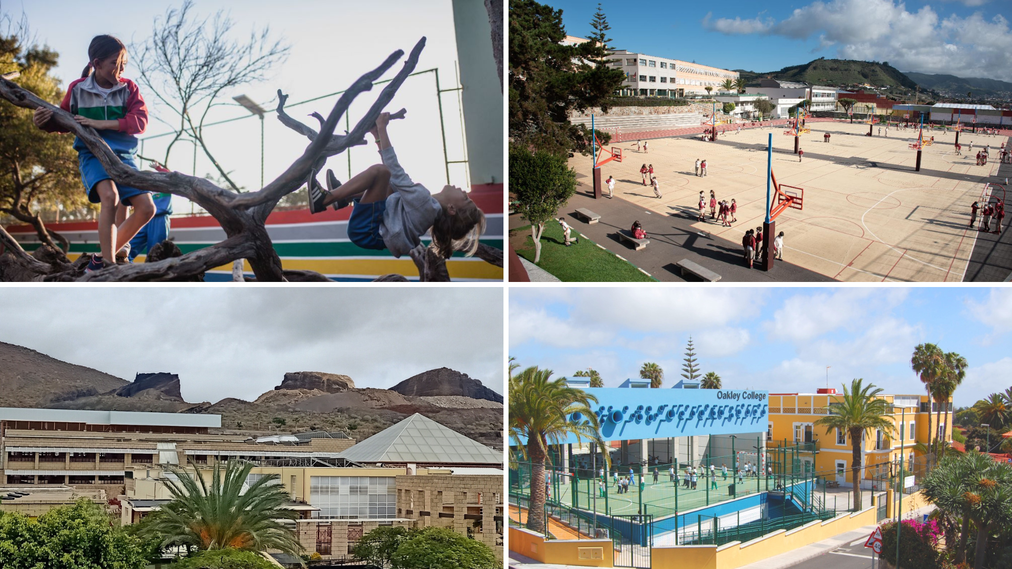 Los colegios Nuryana, Luther King La Laguna, Luther King San Miguel y Oakley College./