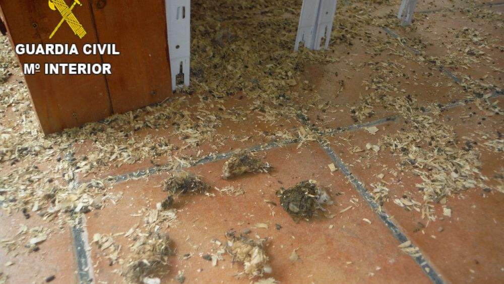 Suelo de la tienda donde se encontraron animales muertos en La Orotava./ Guardia Civil Suelo de la tienda donde se encontraron animales muertos en La Orotava./ Guardia Civil