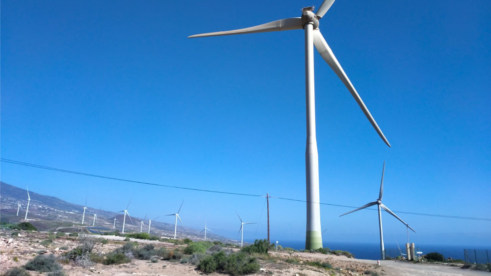 Varios aerogeneradores en el municipio tinerfeño de Arico, un lugar especialmente atractivo para la producción de energías renovables. / Atlántico Hoy