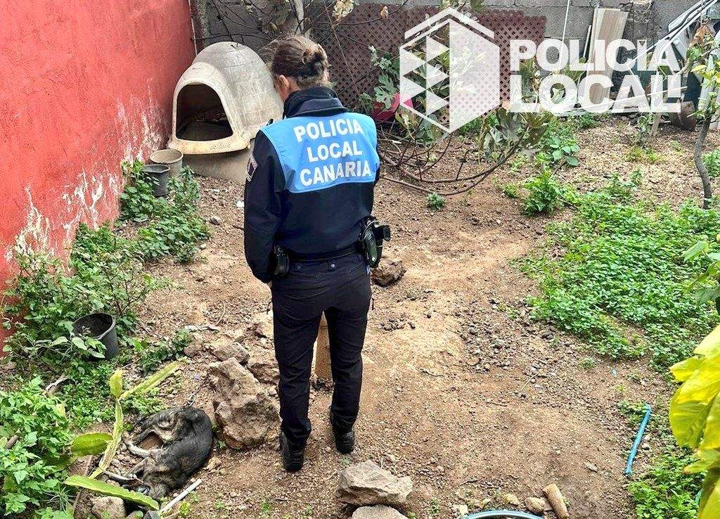 Una agente de la Policía Local durante la inspección a la vivienda. / Policía Local de Santa Cruz