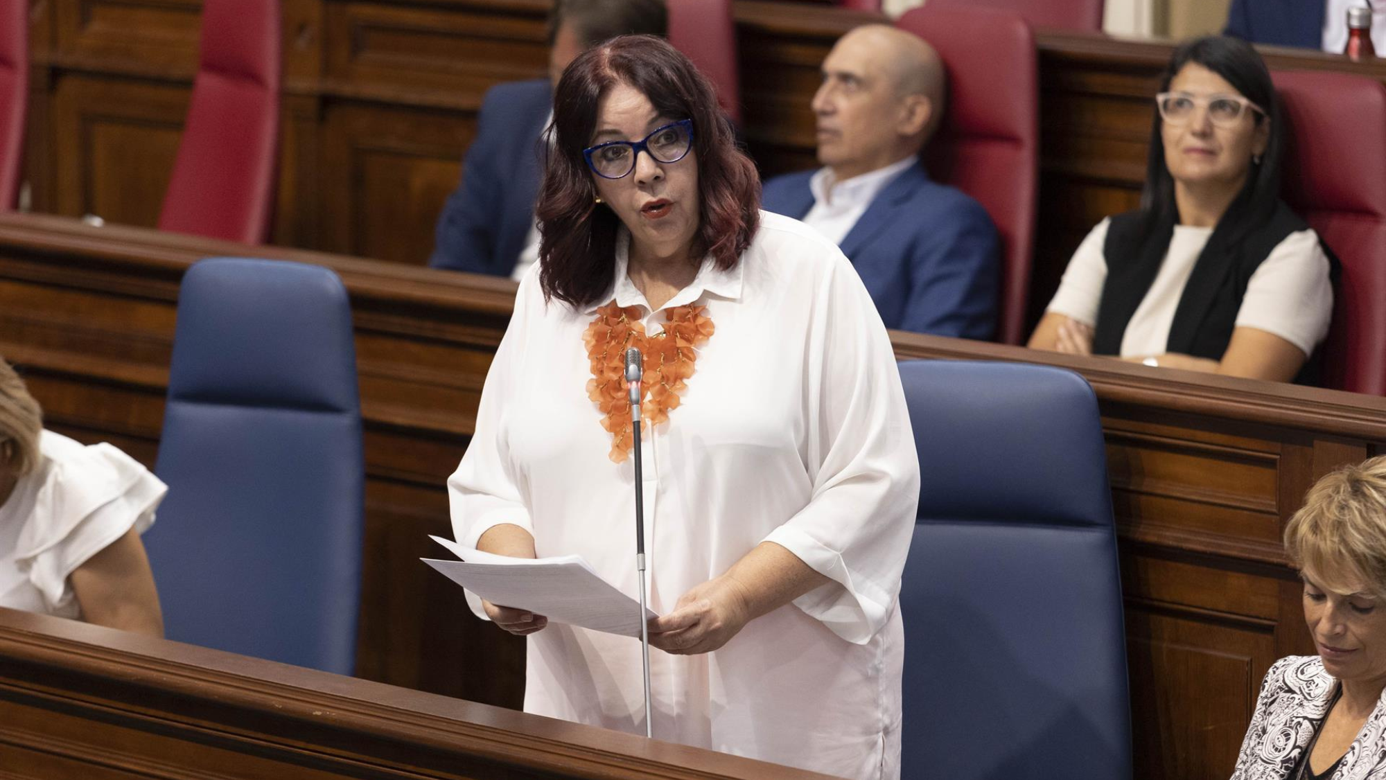 Manuela de Armas, consejera de Educación y Cultura del Gobierno de Canarias. /Efe