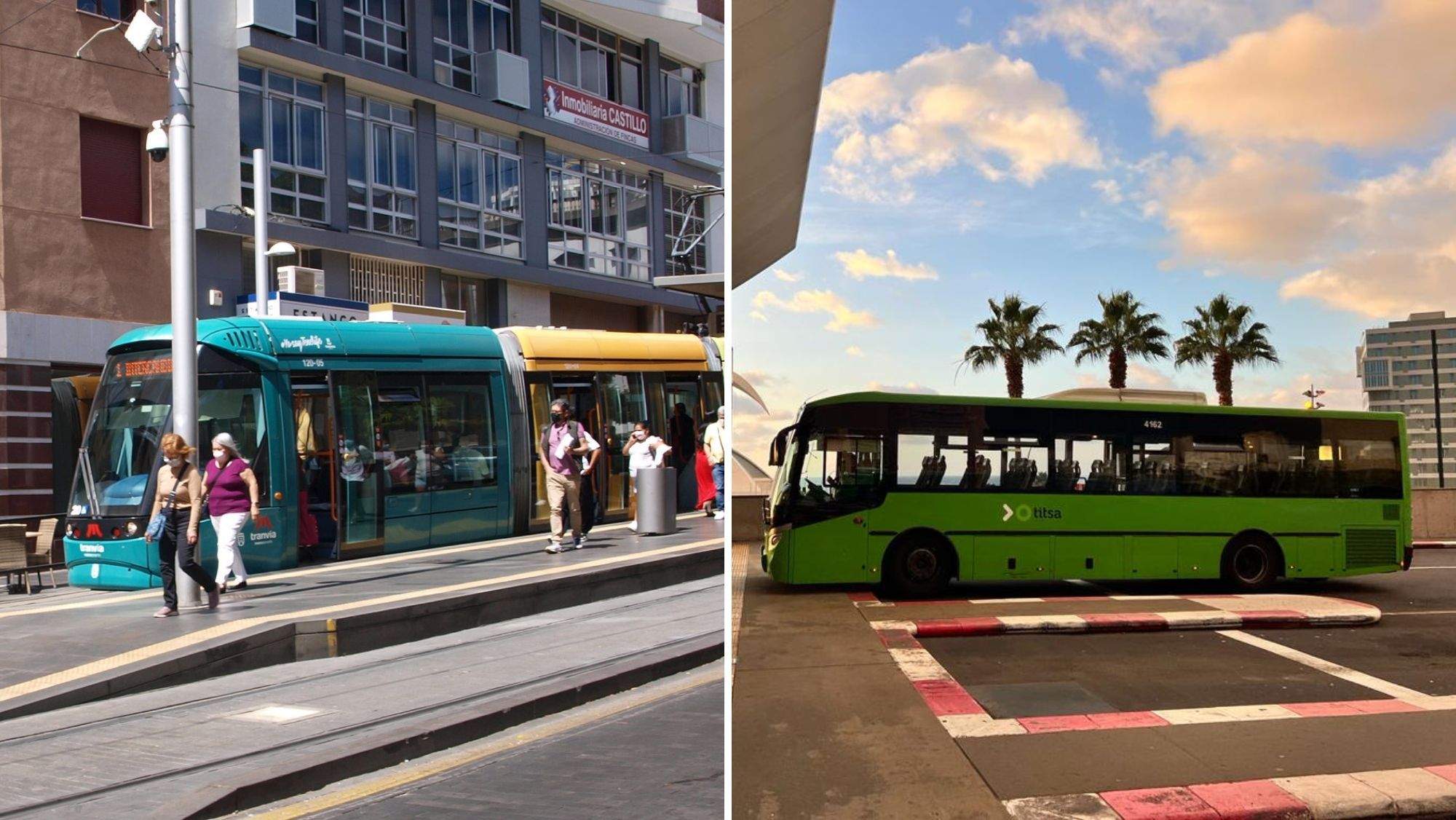 Tranvía de Tenerife y una de las guaguas de Titsa. / AH