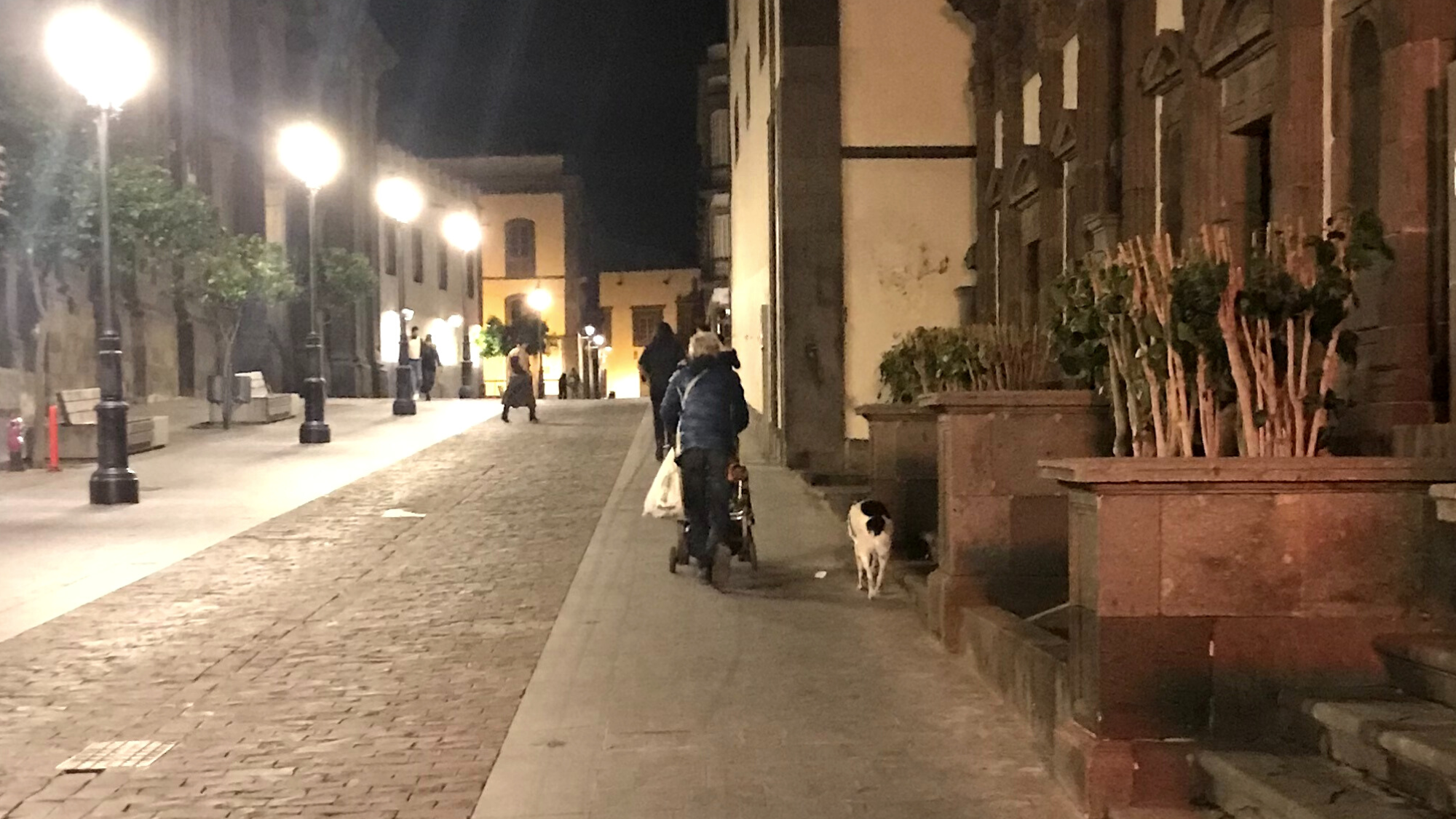 Un hombre pasea con su perro cerca de la Catedral.