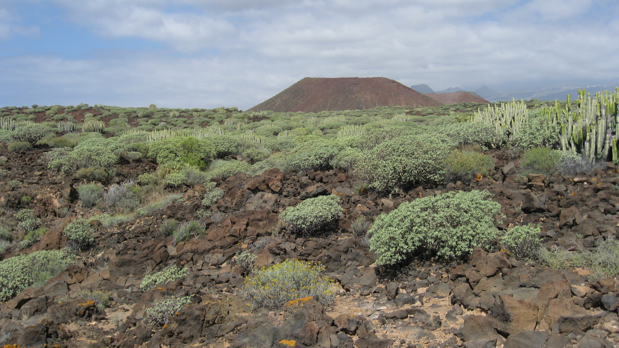 Malpaís de Rasca./ Imagen de la red