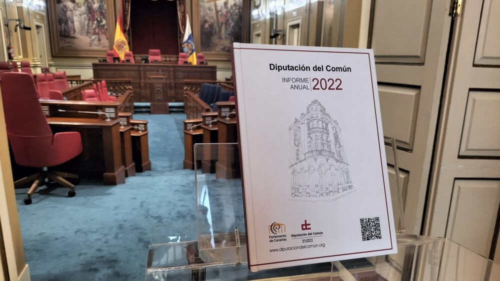Informe de 2022 del Diputado del Común./ Álvaro Oliver (AH)