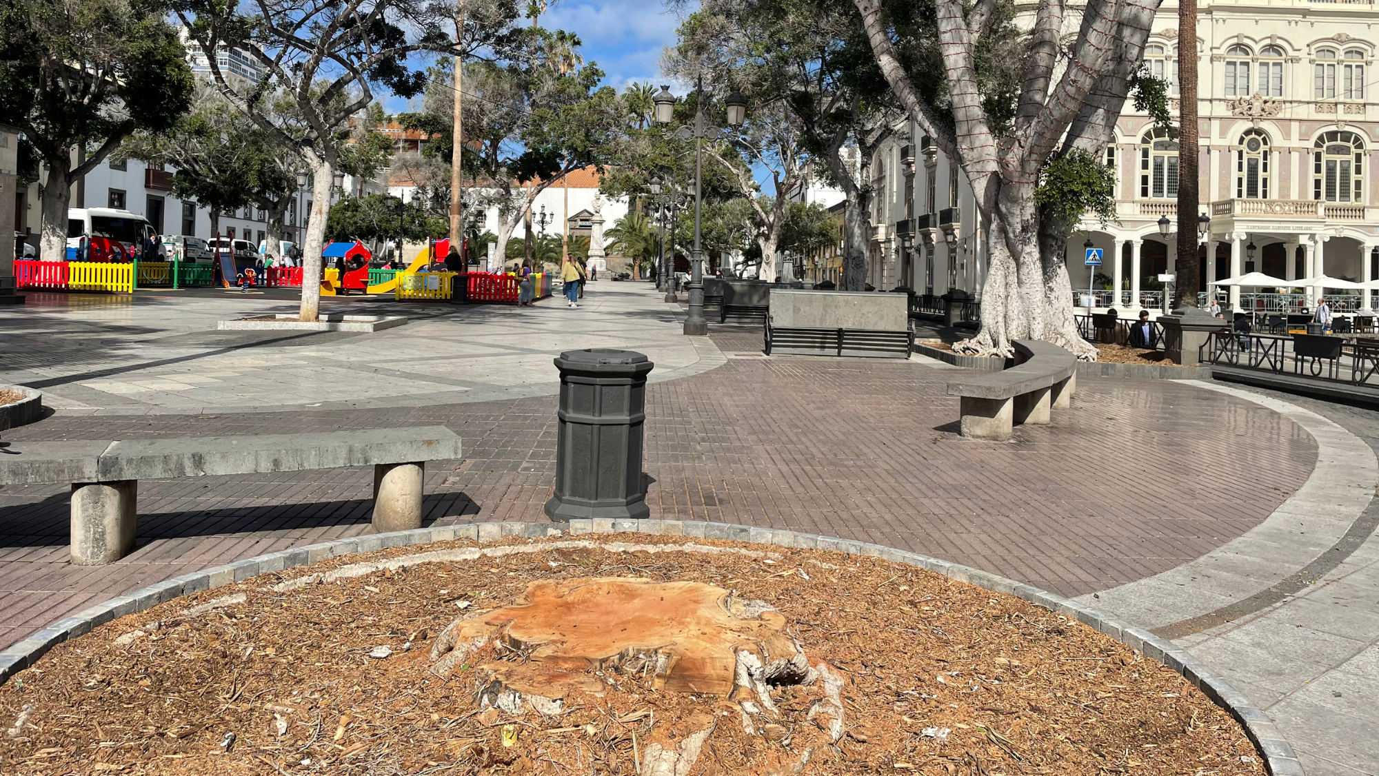 Uno de los árboles talados en la Alameda de Colón. / Atlántico Hoy