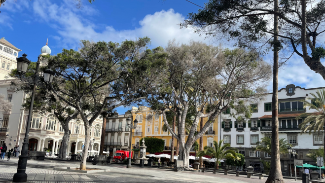 La Alameda de Colón, en Las Palmas de Gran Canaria. / Atlántico Hoy
