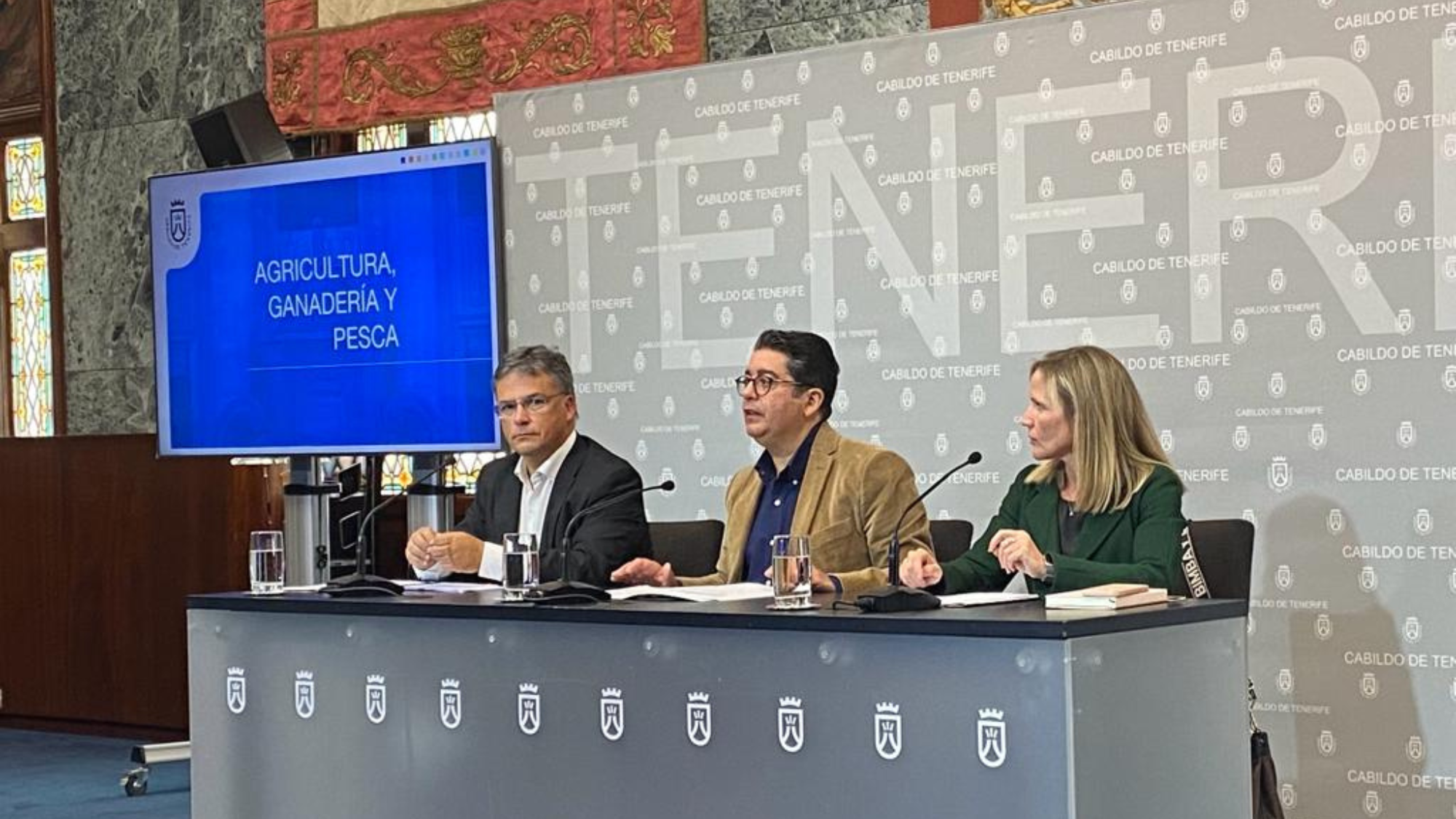 De izquierda a derecha: Javier Parrilla, Pedro Martín y Ana Sánchez. / AH