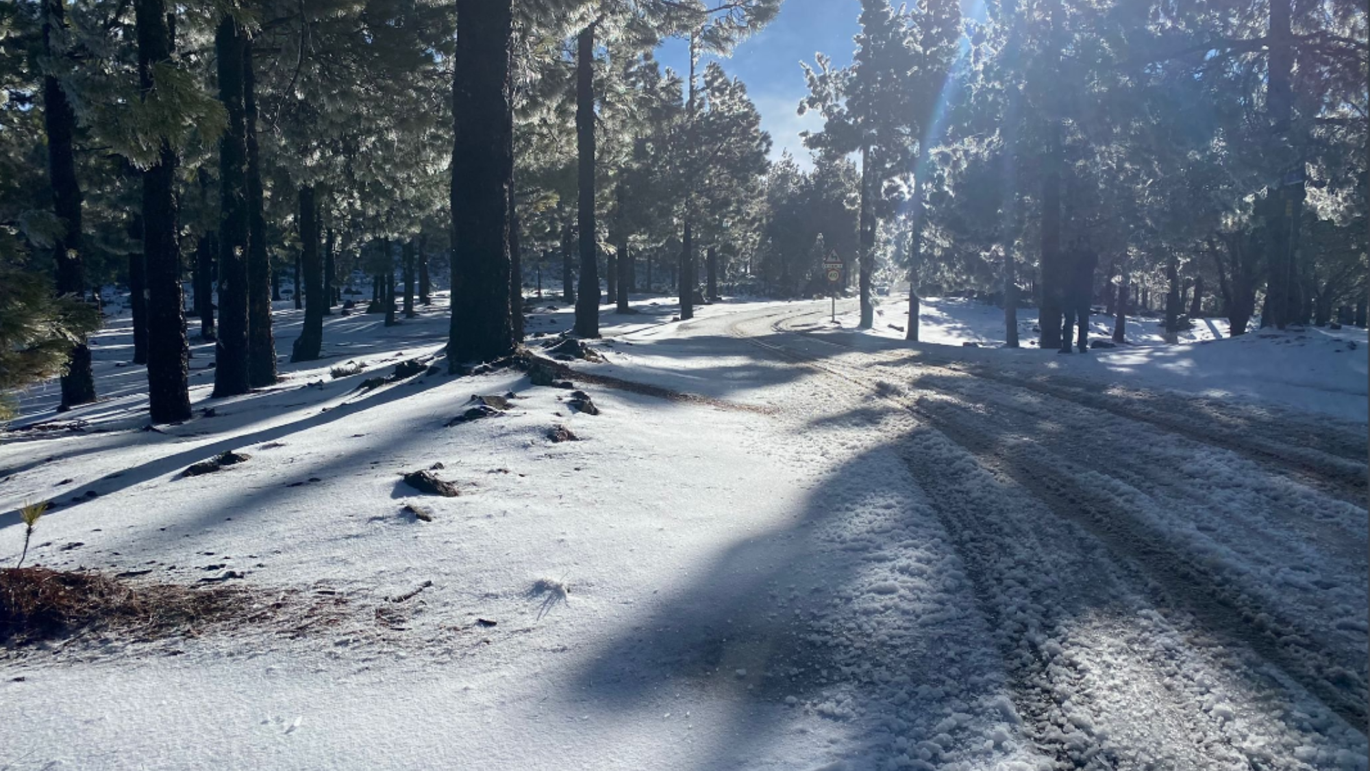 Nieve en la cumbre de Gran Canaria./ Cabildo de Gran Canaria