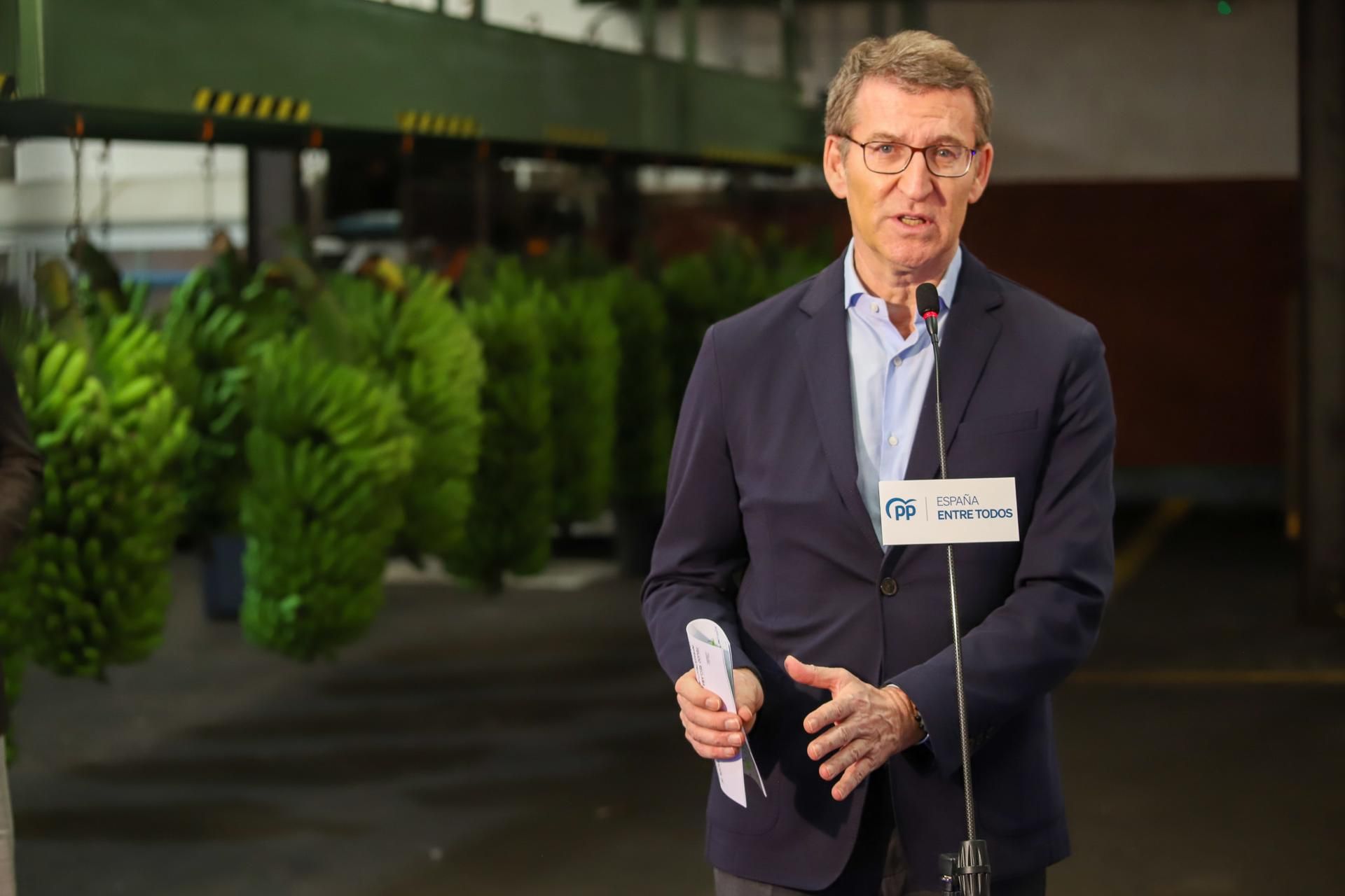 El líder del Partido Popular (PP), Alberto Núñez Feijóo. / EFE - Luis G. Morera 