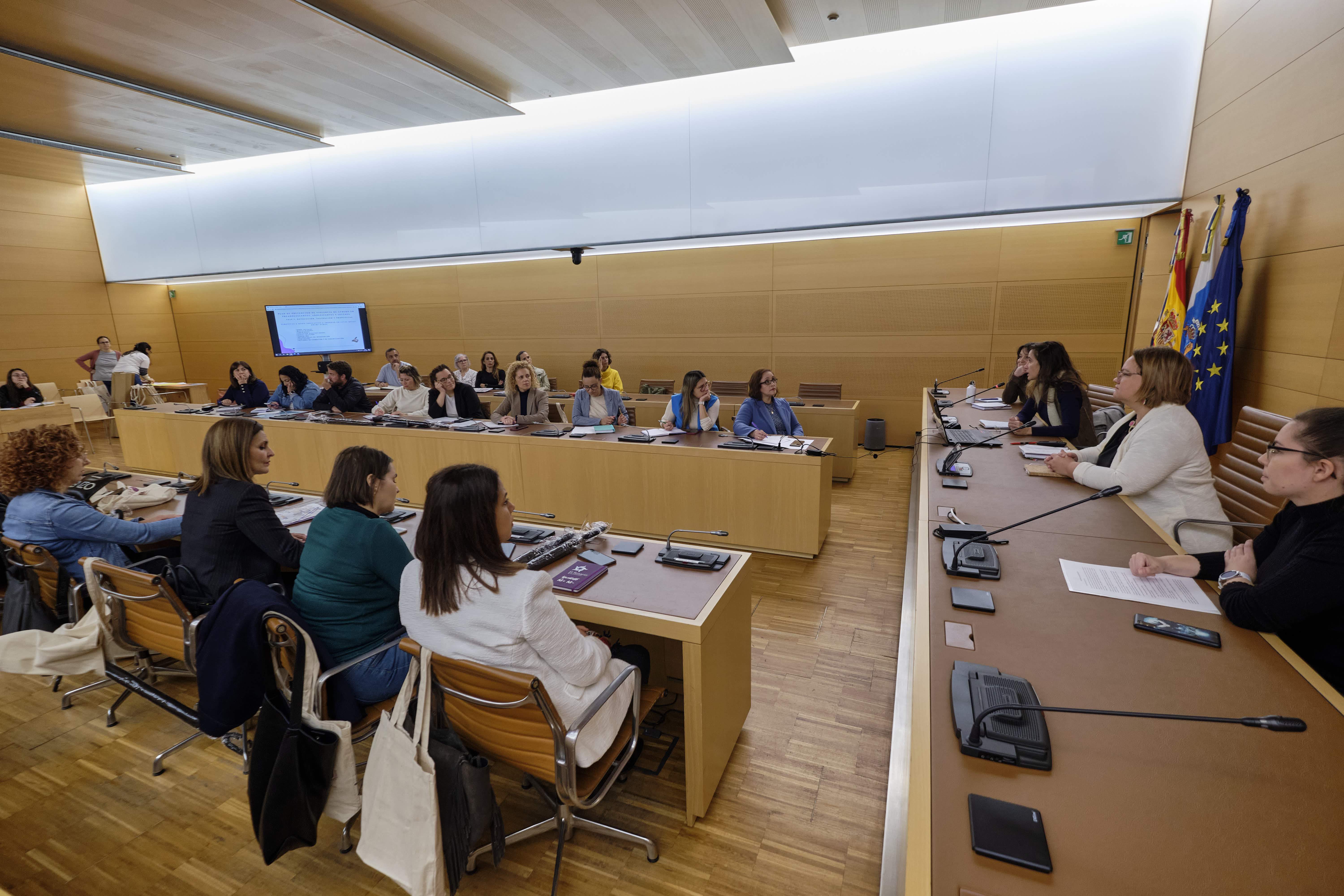 Priscila de Leon preside la Mesa insular de Igualdad./