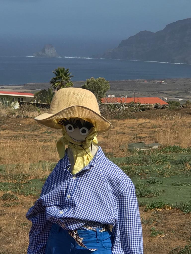 Machango de El Hierro./