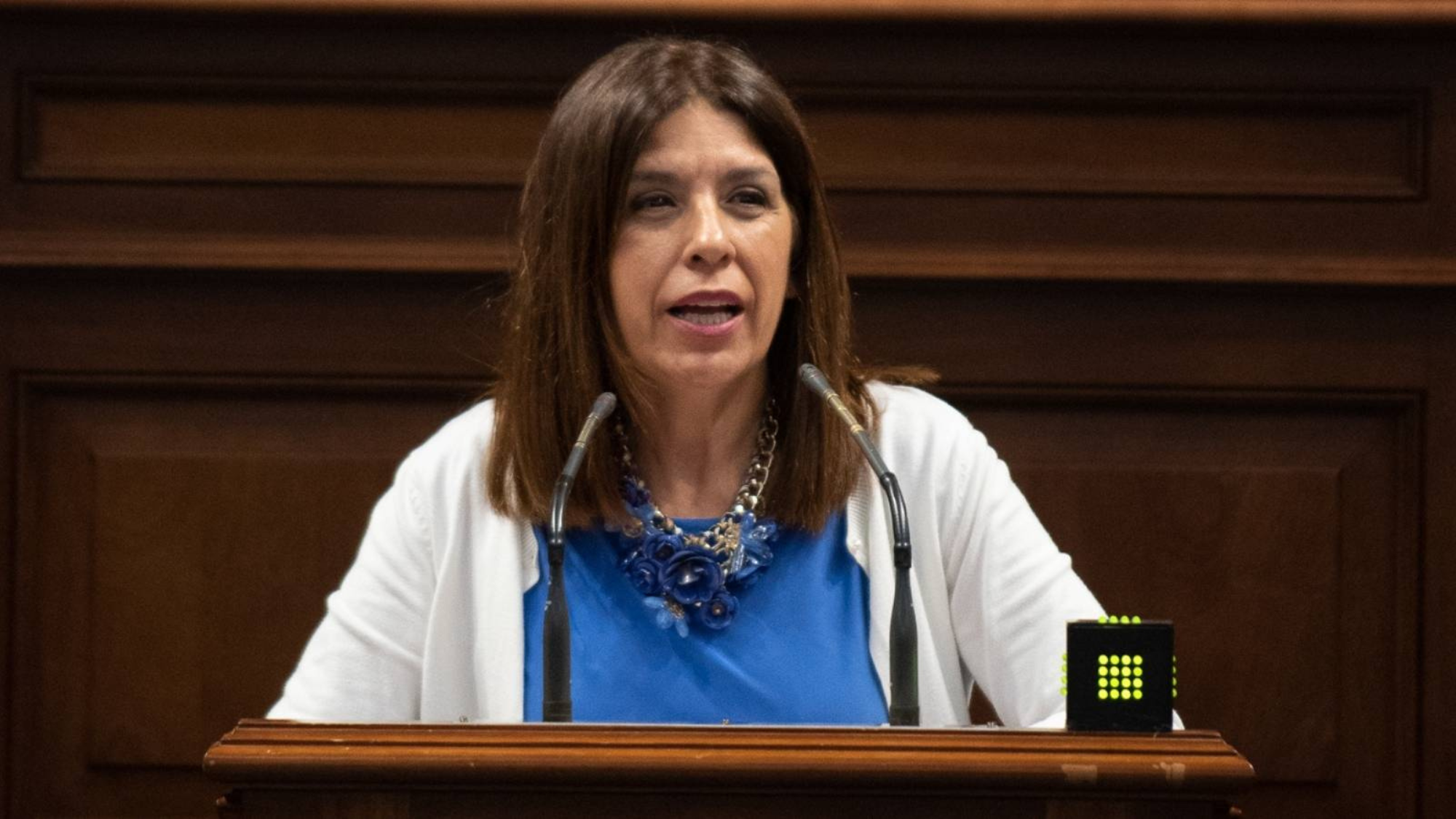 Carmen Hernández, diputada de Nueva Canarias (NC). / Nueva Canarias