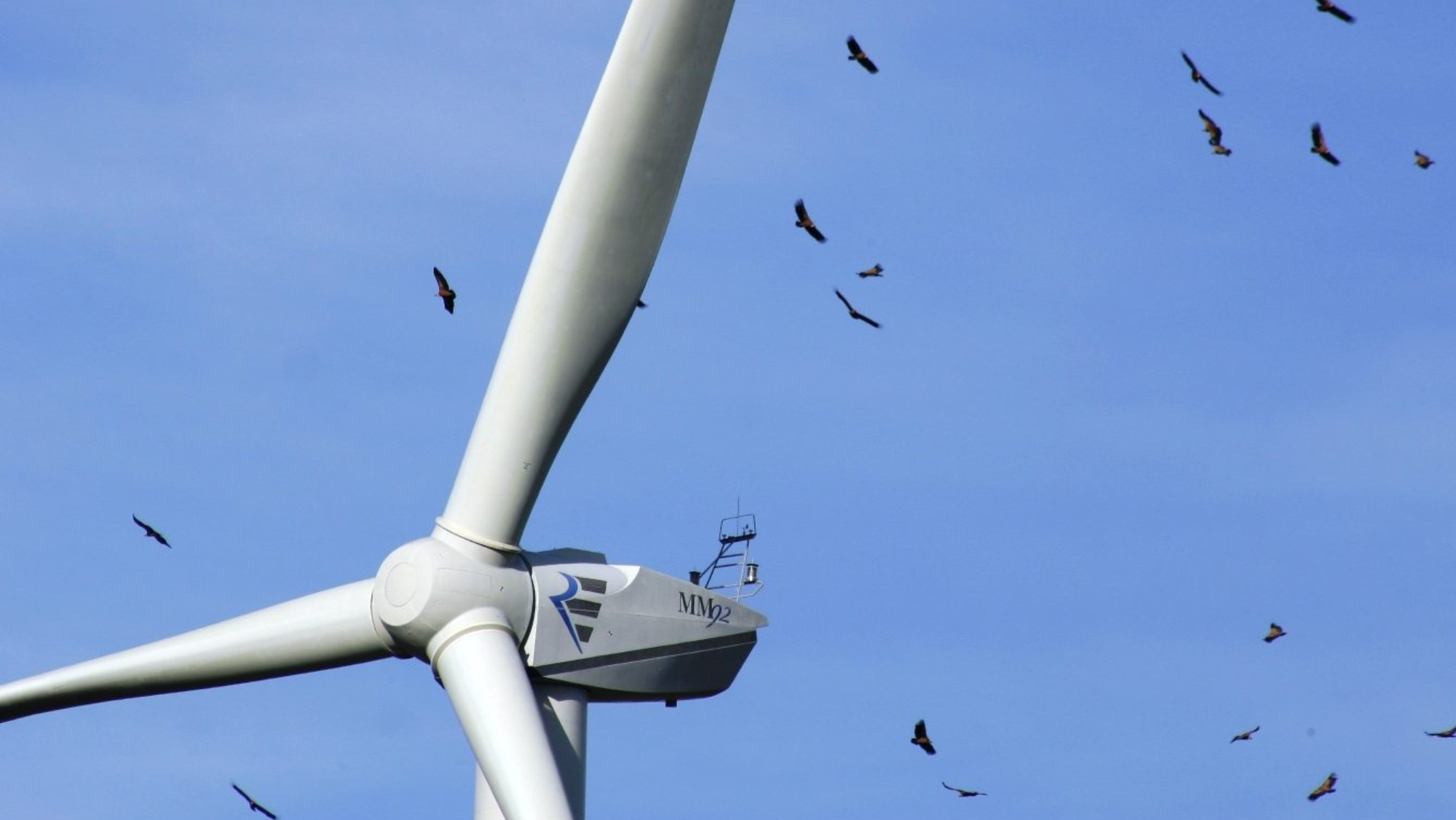 Imagen del parque eólico de Barao de Sao Joao. / EFE (Facilitada por E.ON)