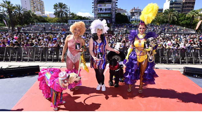 Premiados del carnaval canino de Las Palmas de Gran Canaria./ Promoción Las Palmas Premiados del carnaval canino de Las Palmas de Gran Canaria./ Promoción Las Palmas