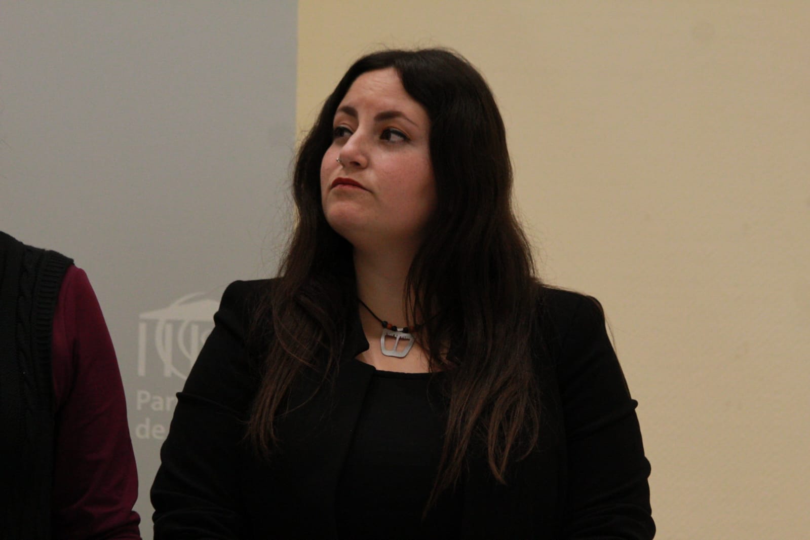 La coordinadora general de Podemos Canarias, Laura Fuentes Vega./ Álvaro Oliver (AH)