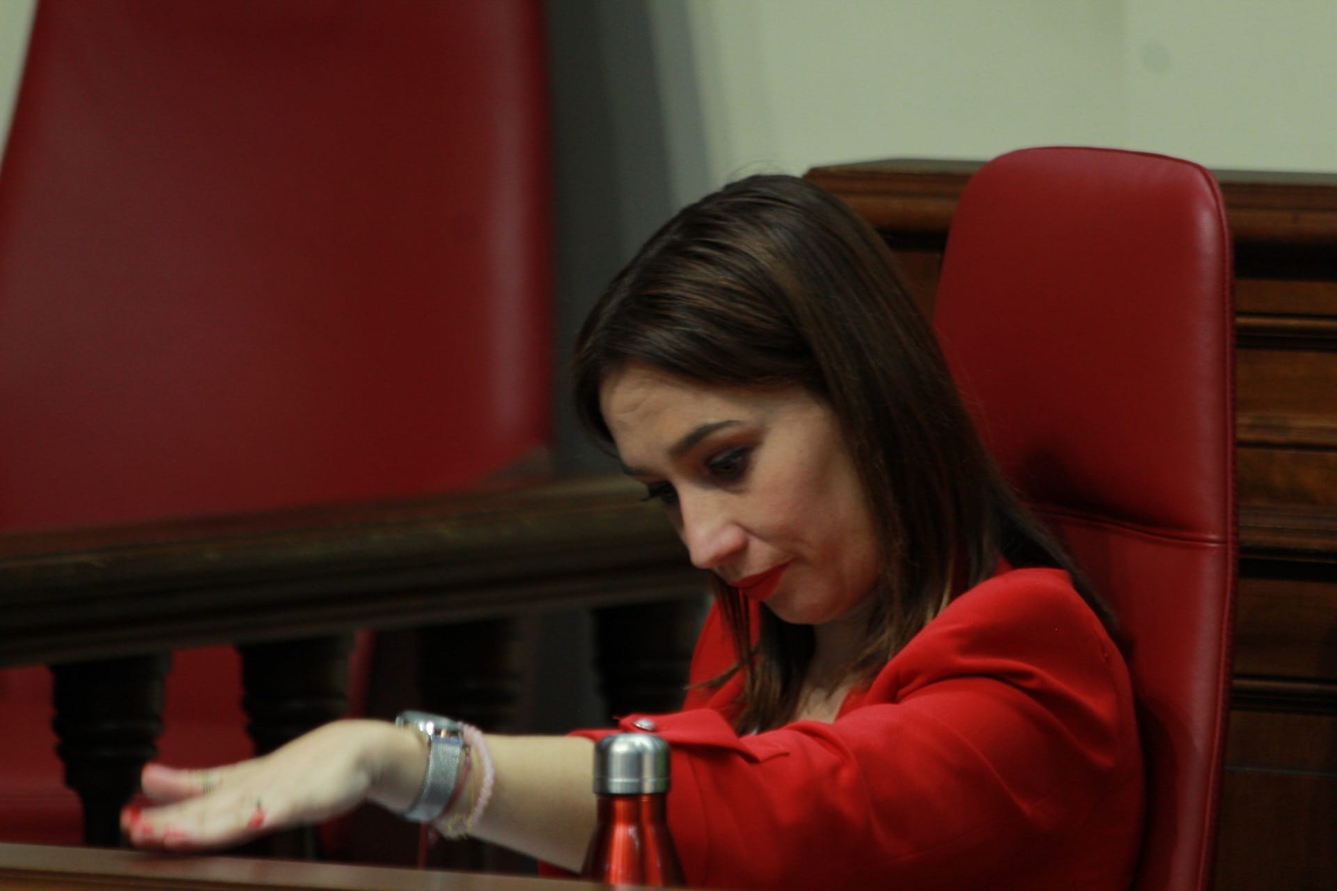 La secretaria de organización del PSOE en Canarias, Nira Fierro./ Álvaro Oliver (AH)