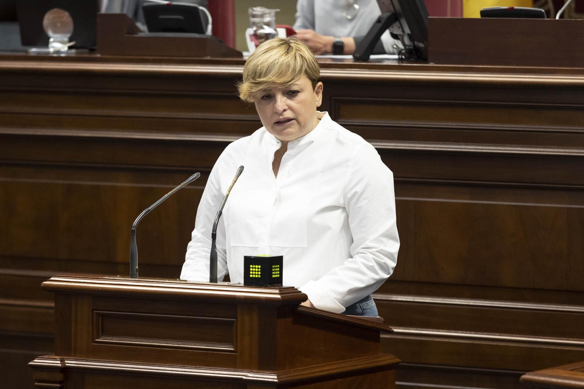 La diputada del GP Socialista Canario Nayra Alemán durante su comparecencia este miércoles en la segunda sesión del Debate sobre el Estado de la Nacionalidad. EFE/ Miguel Barreto