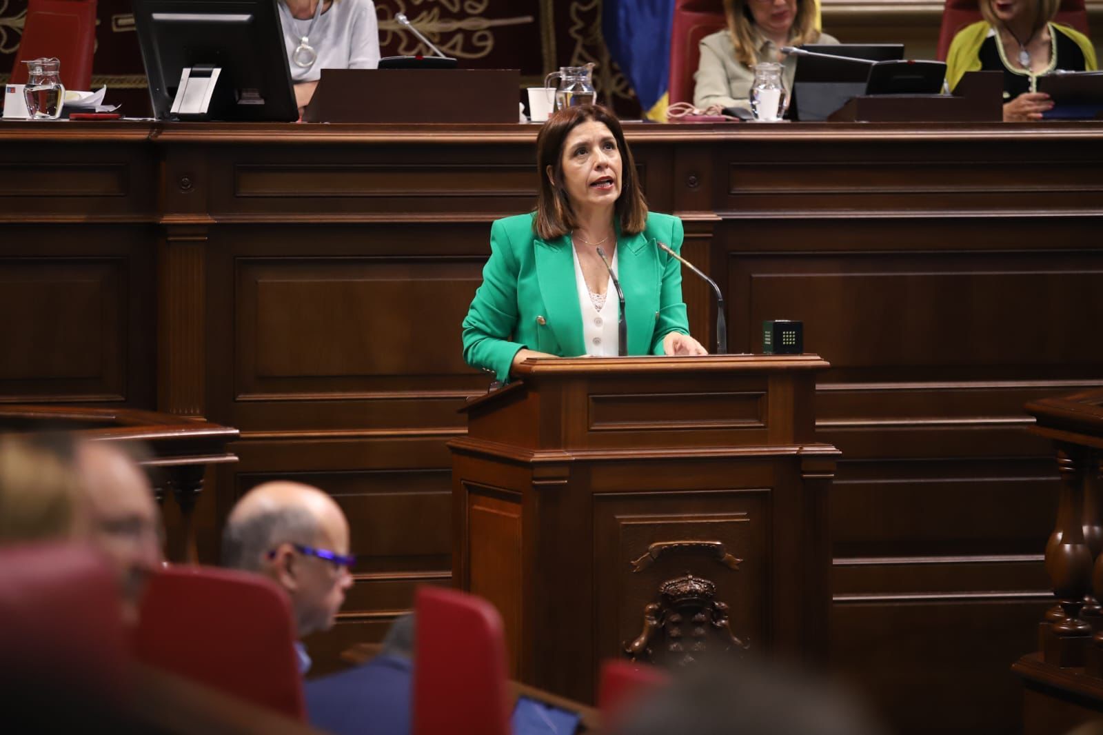 Carmen Hernández, diputada de Nueva Canarias en el Parlamento./ NC