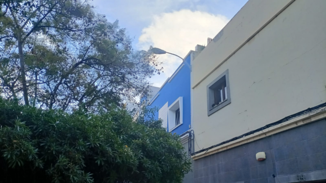 Un árbol frente a una vivienda en la plaza María Auxiliadora en Barranquillo Don Zoilo. / Atlántico Hoy Un árbol frente a una vivienda en la plaza María Auxiliadora en Barranquillo Don Zoilo. / Atlántico Hoy