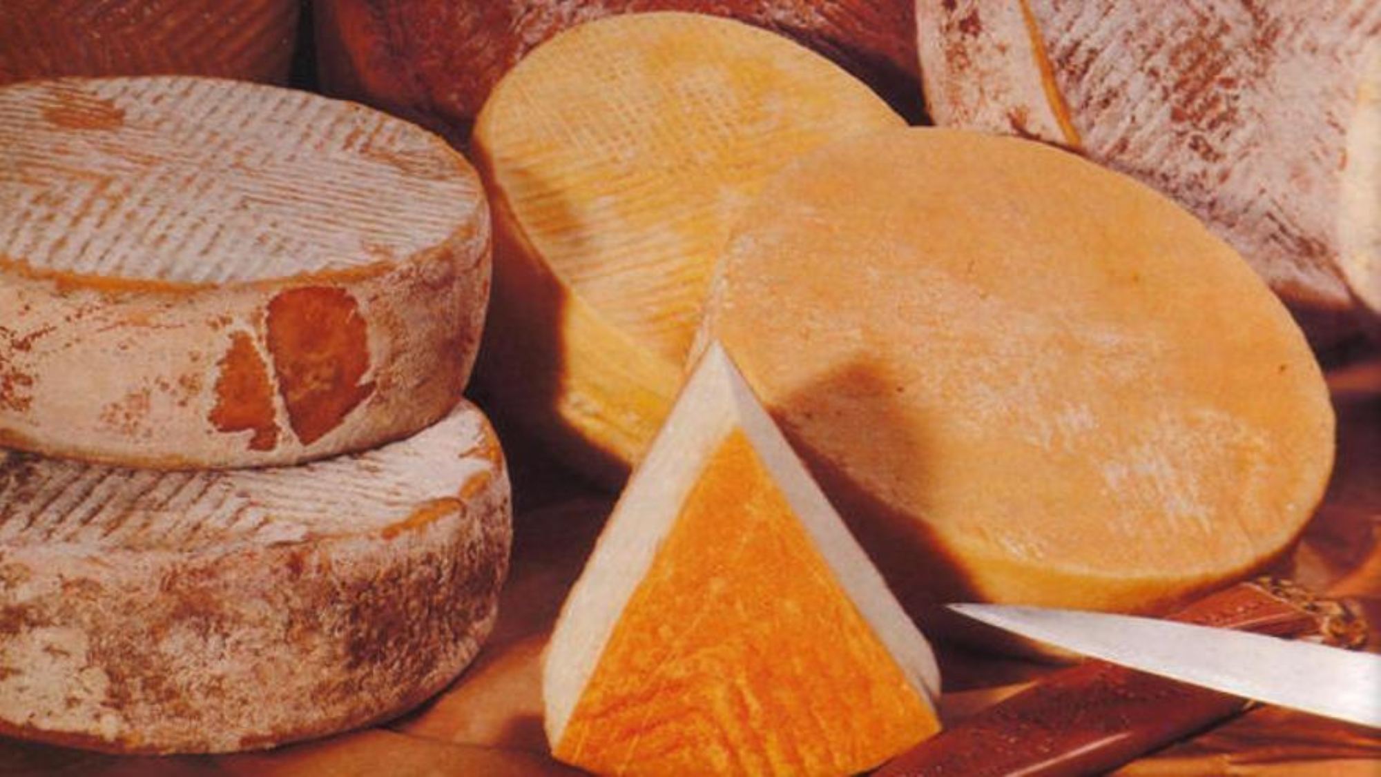 En total se han inscrito 26 queserías con stand propio con quesos frescos, curados y semicurados de leche de cabra, vaca u oveja o de flor y media flor. /EFE