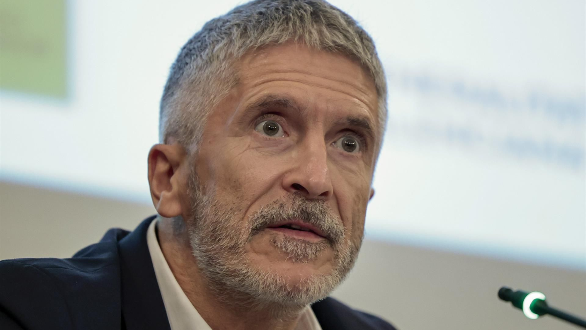 Fernando Grande Marlaska. / EFE