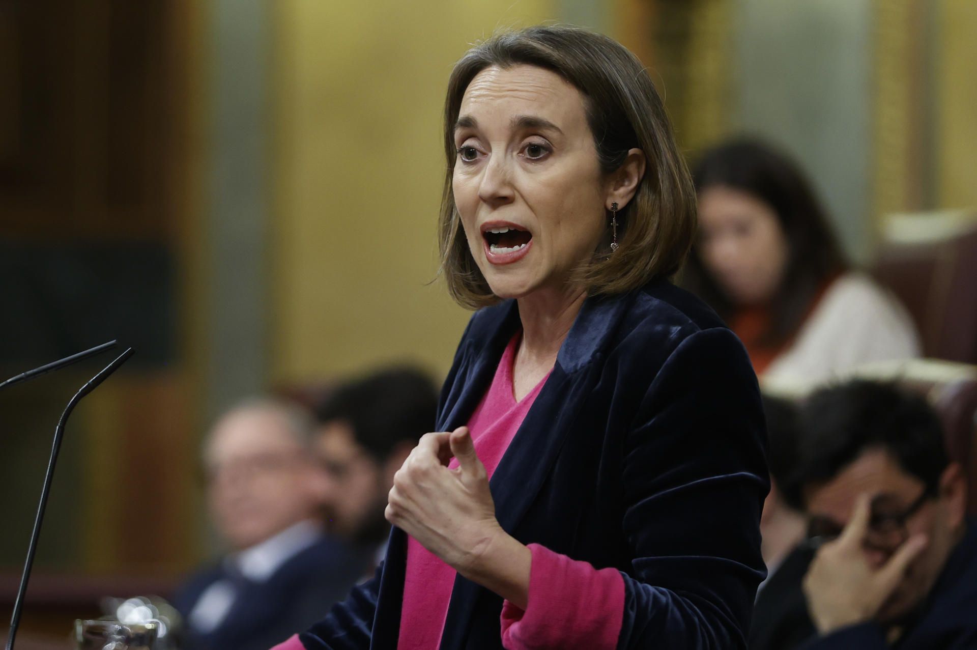 Cuca Gamarra, portavoz del PP, durante una intervención en la Cámara. 