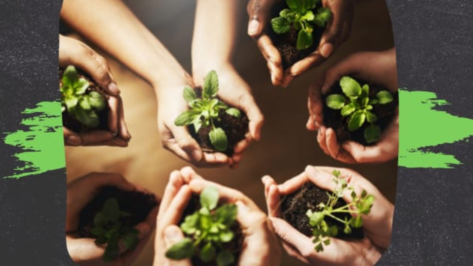 Cartel de los talleres gastronómicos de la Agenda Canaria de Desarrollo Sostenible 2030. / Cedida Cartel de los talleres gastronómicos de la Agenda Canaria de Desarrollo Sostenible 2030. / Cedida