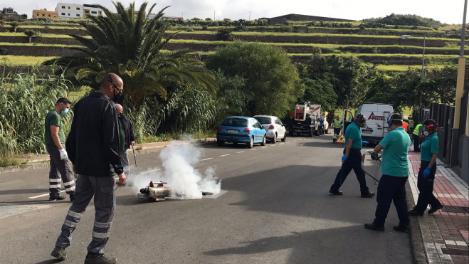 Operarios del Ayuntamiento fumigan en San Lorenzo. / Ayuntamiento de Las Palmas de Gran Canaria