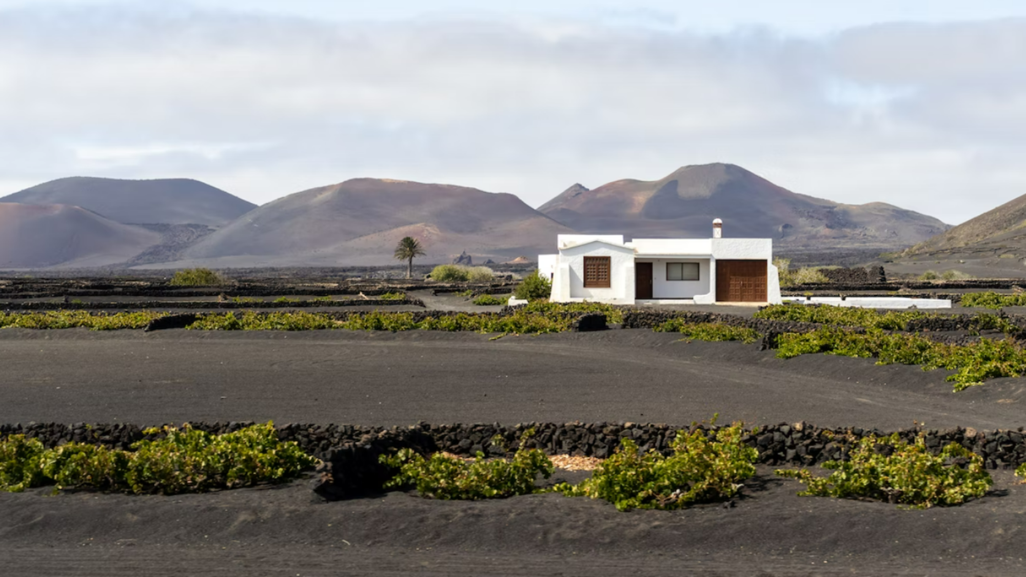 Los clientes de la bodega señalaron que la persona con la que hablaban por teléfono era siempre la misma. /Unsplash