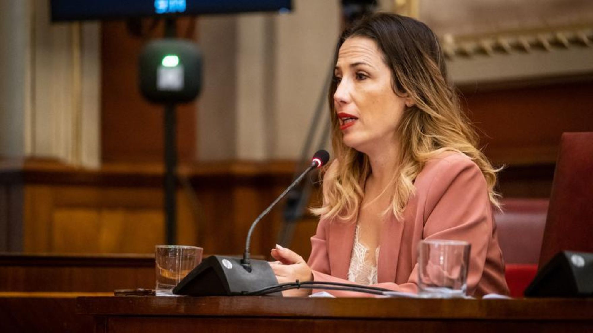 La portavoz del PSOE, Patricia Hernández, en un Pleno del Ayuntamiento de Santa Cruz de Tenerife. / CEDIDA
