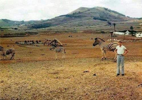 safari kudu tenerife