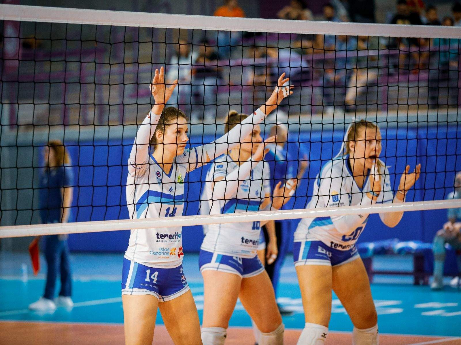 Como tercer clasificado, el Haris deberá disputar la ronda de cuartos de final ante Kiele Socuéllamos, su rival en esta última jornada de liga regular./ Twitter Haris.