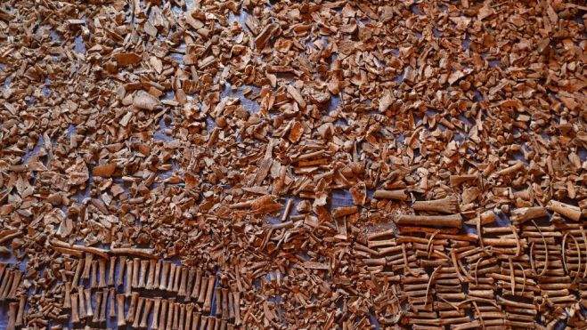 Miles de piezas de huesos de las personas asesinadas en 1994. /EFE