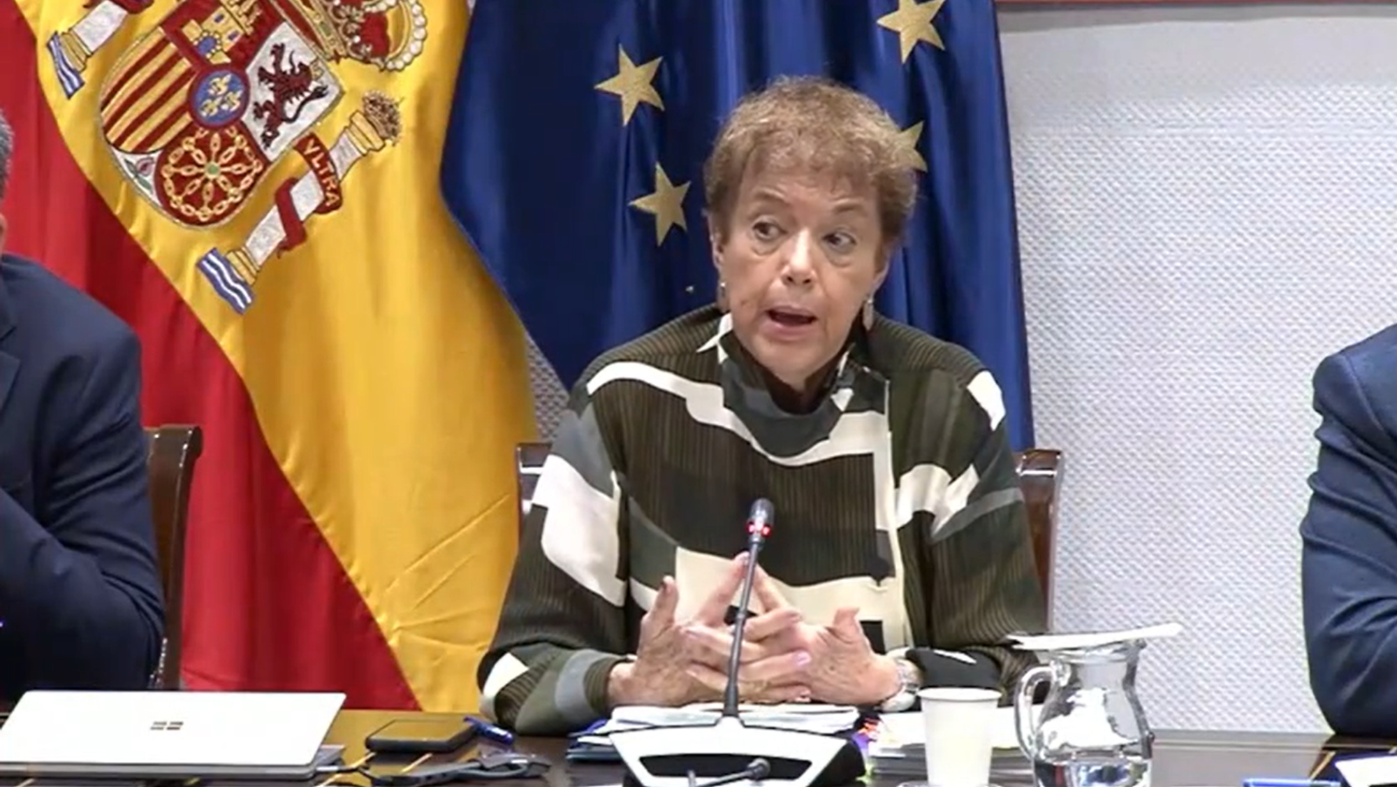 La presidenta del Consejo Escolar de Canarias, Natalia Álvarez. / Parlamento de Canarias