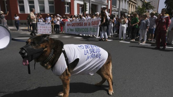 Un perro luce un mensaje en favor de la sanidad pública en Canarias durante la manifestación celebrada en Las Palmas de Gran Canaria Un perro luce un mensaje en favor de la sanidad pública en Canarias durante la manifestación celebrada en Las Palmas de Gran Canaria