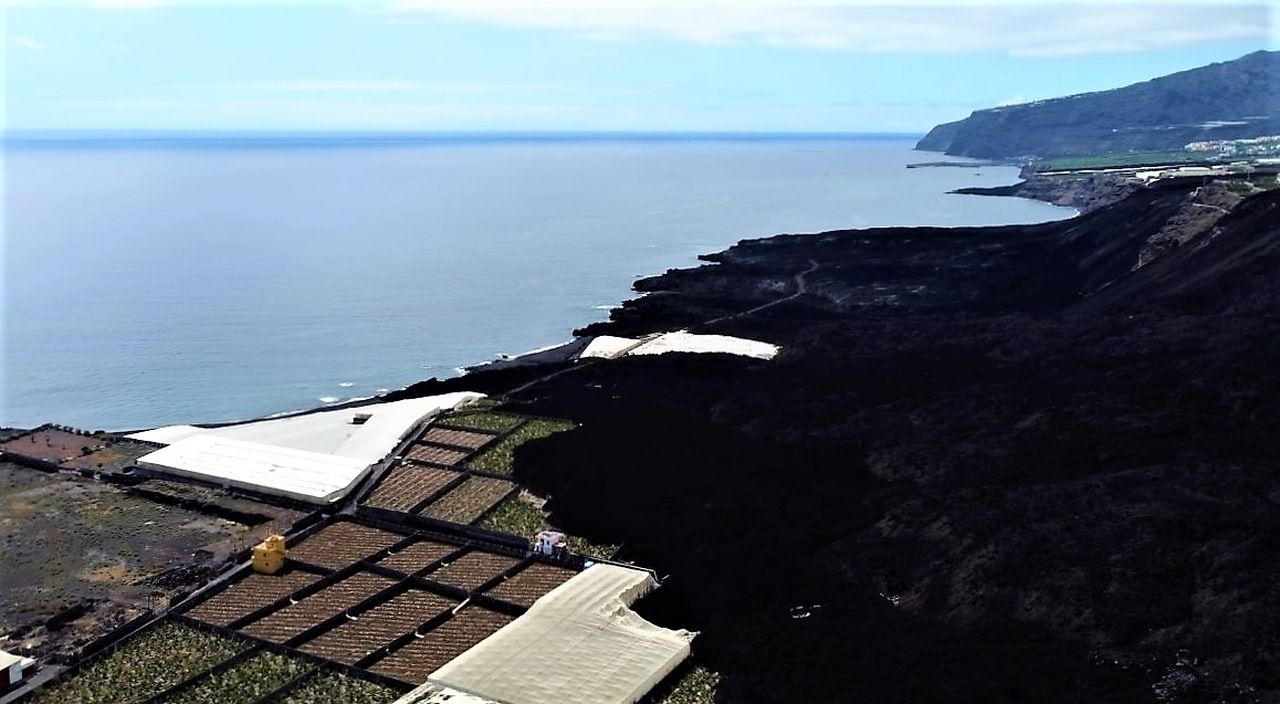 Fincas afectadas por la lava en Canarias. / Plataforma por un Precio Justo del Plátano