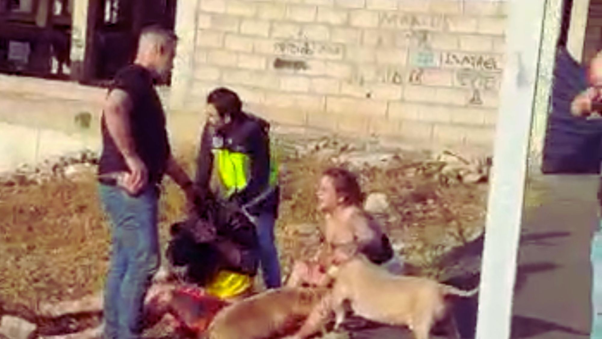 En la imagen, momento en el que dos policías sujetan al detenido ante dos de los perros. / ATLÁNTICO HOY