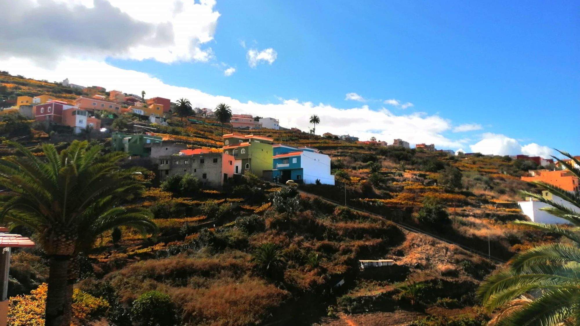 Zona del barrio de La Corujera, Santa Úrsula / I LOVE LA CORUJERA